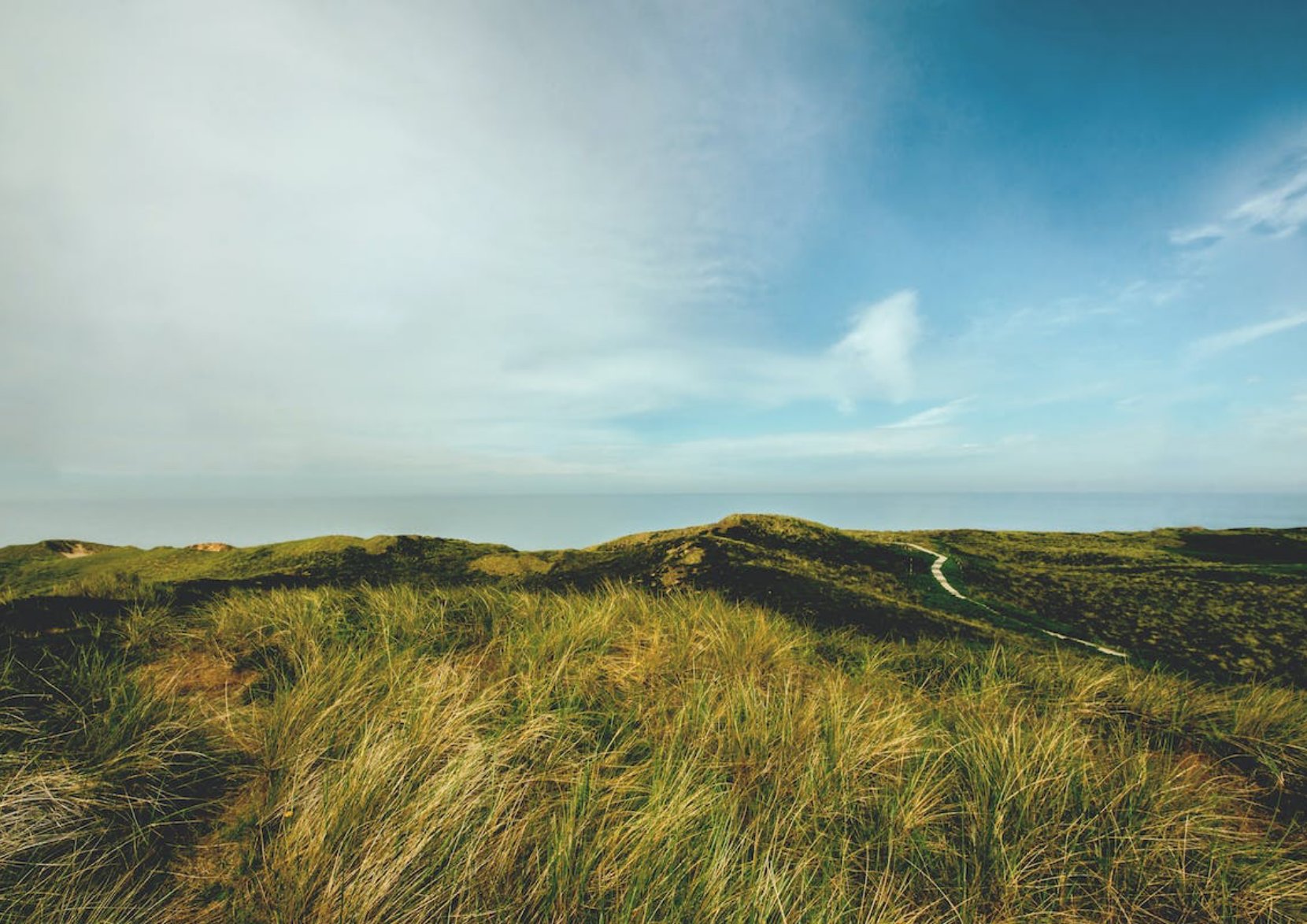 Photo of grassy hills.